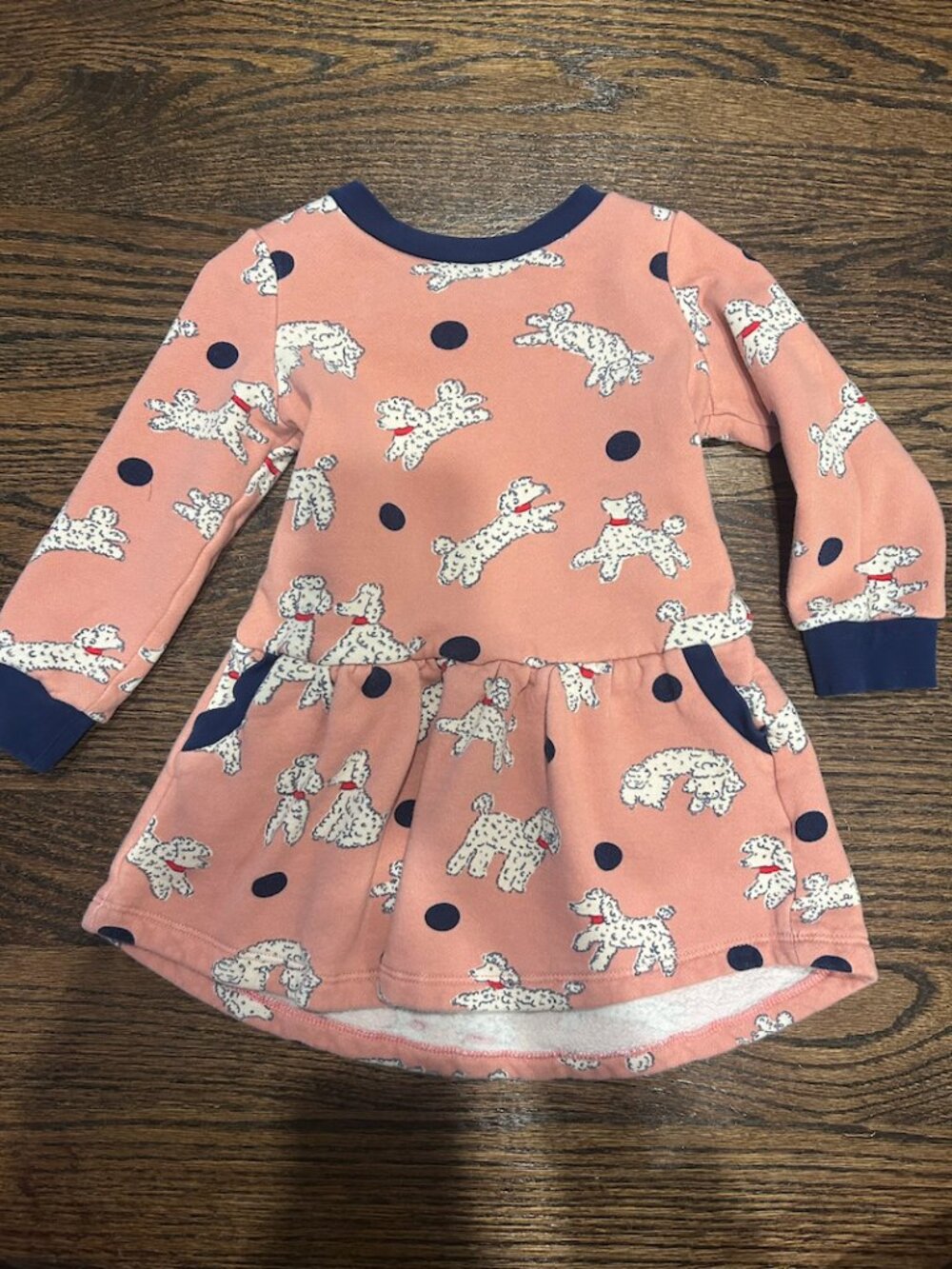 Mini Boden Dog Dress